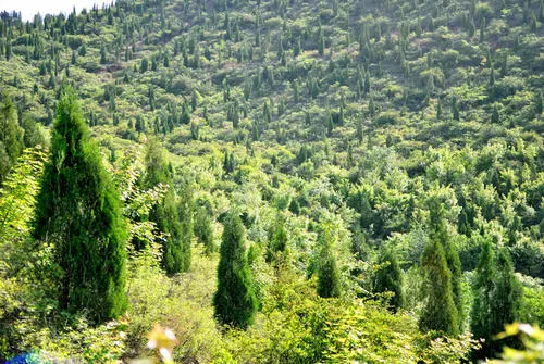 1638410635162576.jpg 1634116315(1).jpg