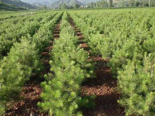 1639705568728303.jpg 1634116360(1).jpg